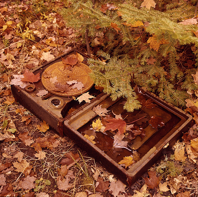 Record Player in Leaves
