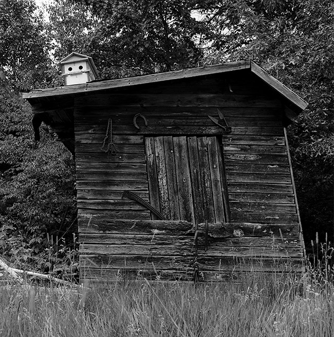 Shack and Birdhouse
