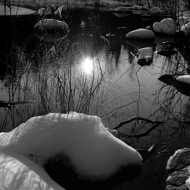 Pond In Winter
